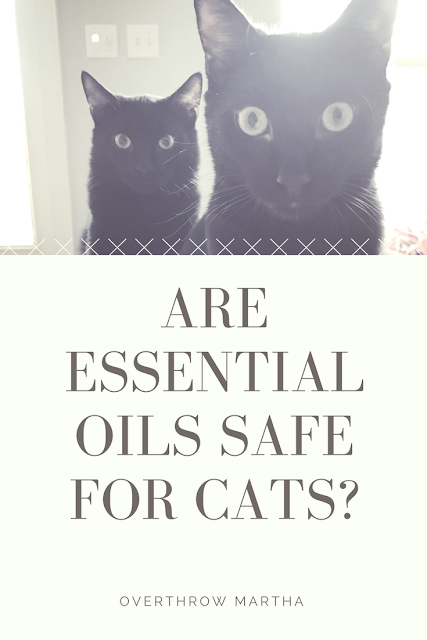 Are essential oils safe for cats?
