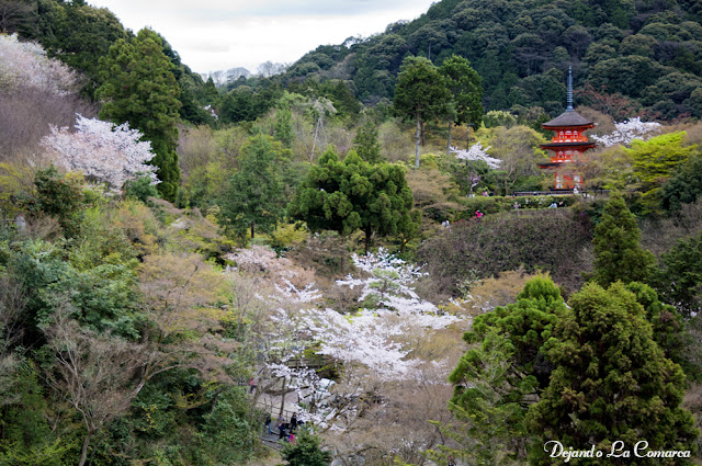 Día 12 - Kyoto (Ginkakuji - Palacio Imperial - Kiyomizu - Gion) - Japón primavera 2016 - 18 días (con bajo presupuesto) (26)