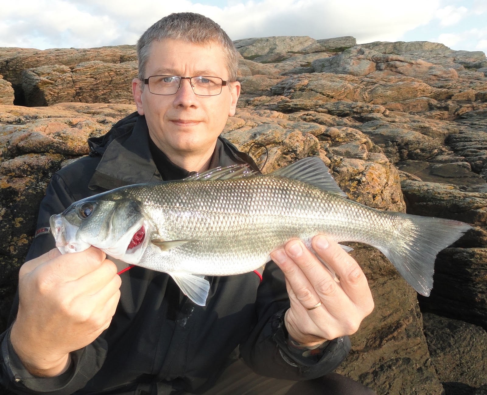 nickes-fiske-havsabborre