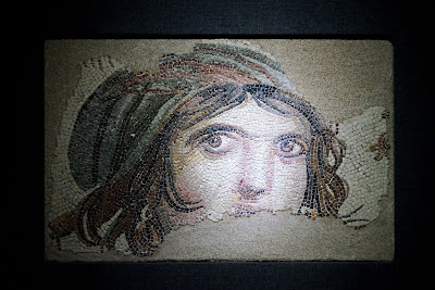 zeugma mozaik müzesi