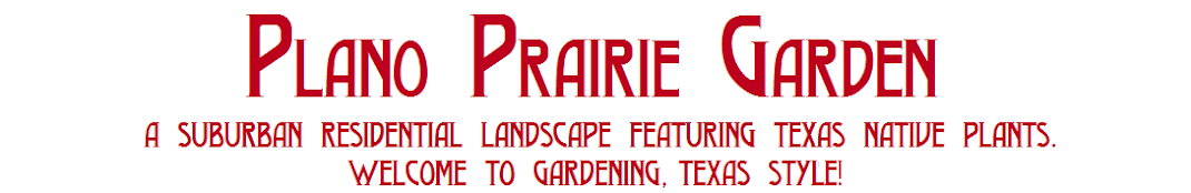 Plano Prairie Garden