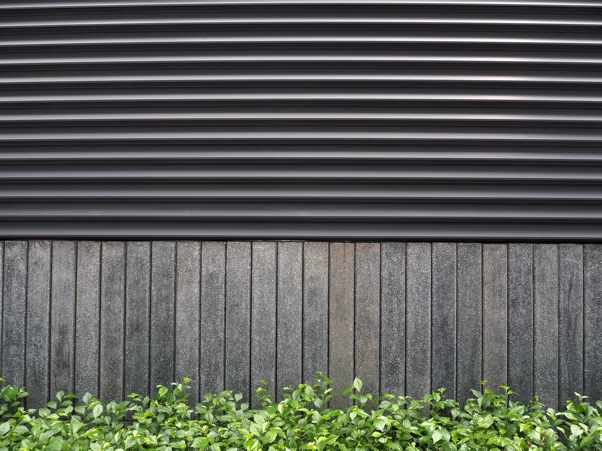 ROBIN WONG Battle of the Basic Kit Lenses Olympus M.Zuiko 1250mm F3