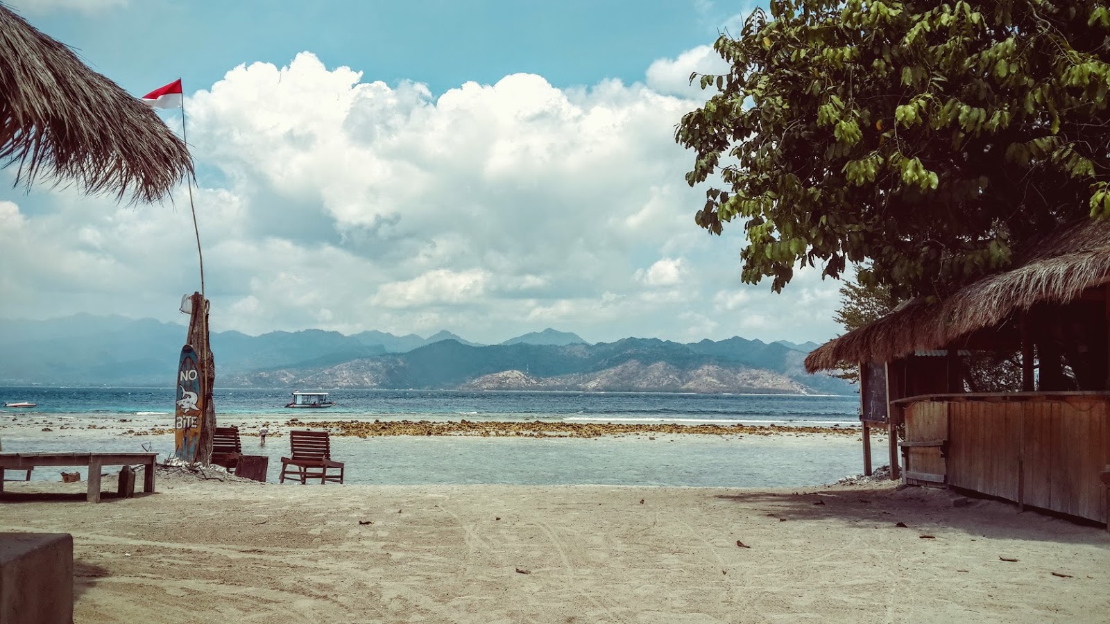 Gili T and Sleeping on Curtains Keen For Korea