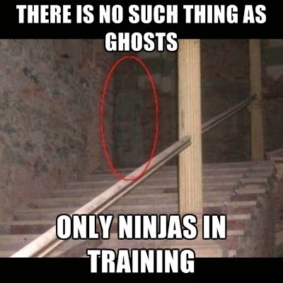 There Is No Such Thing As Ghosts - Only Ninjas In Training