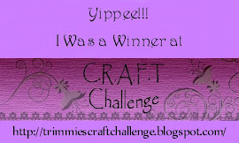 I won at CRAFT Challenge 1-11-2012