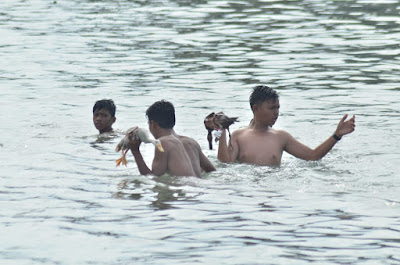 Lomba menangkap bebek di Festival Pulau Penyengat 2019