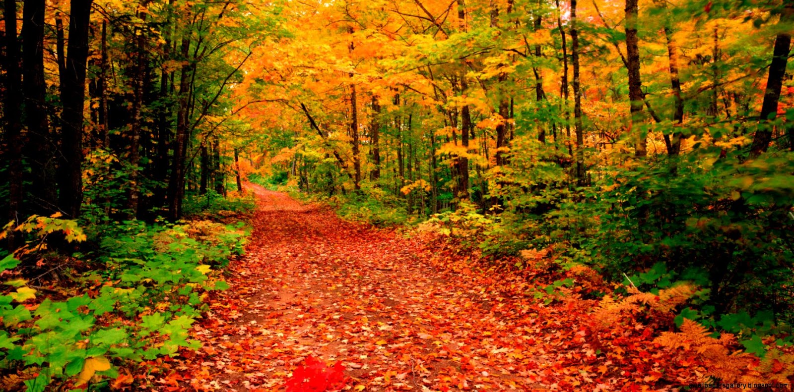 Fall Season Facebook Covers Wallpapers Gallery