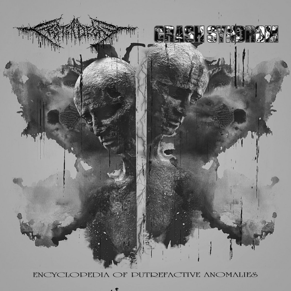 FesterDecay & Crash Syndrom - "Encyclopedia Of Putrefactive Anomalies" - 2020