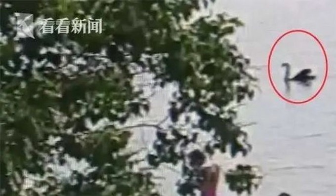 이미지에 대체텍스트 속성이 없습니다; 파일명은 5na8h974bf8425f2vox5.jpg 입니다.