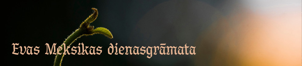 Evas dienasgrāmata