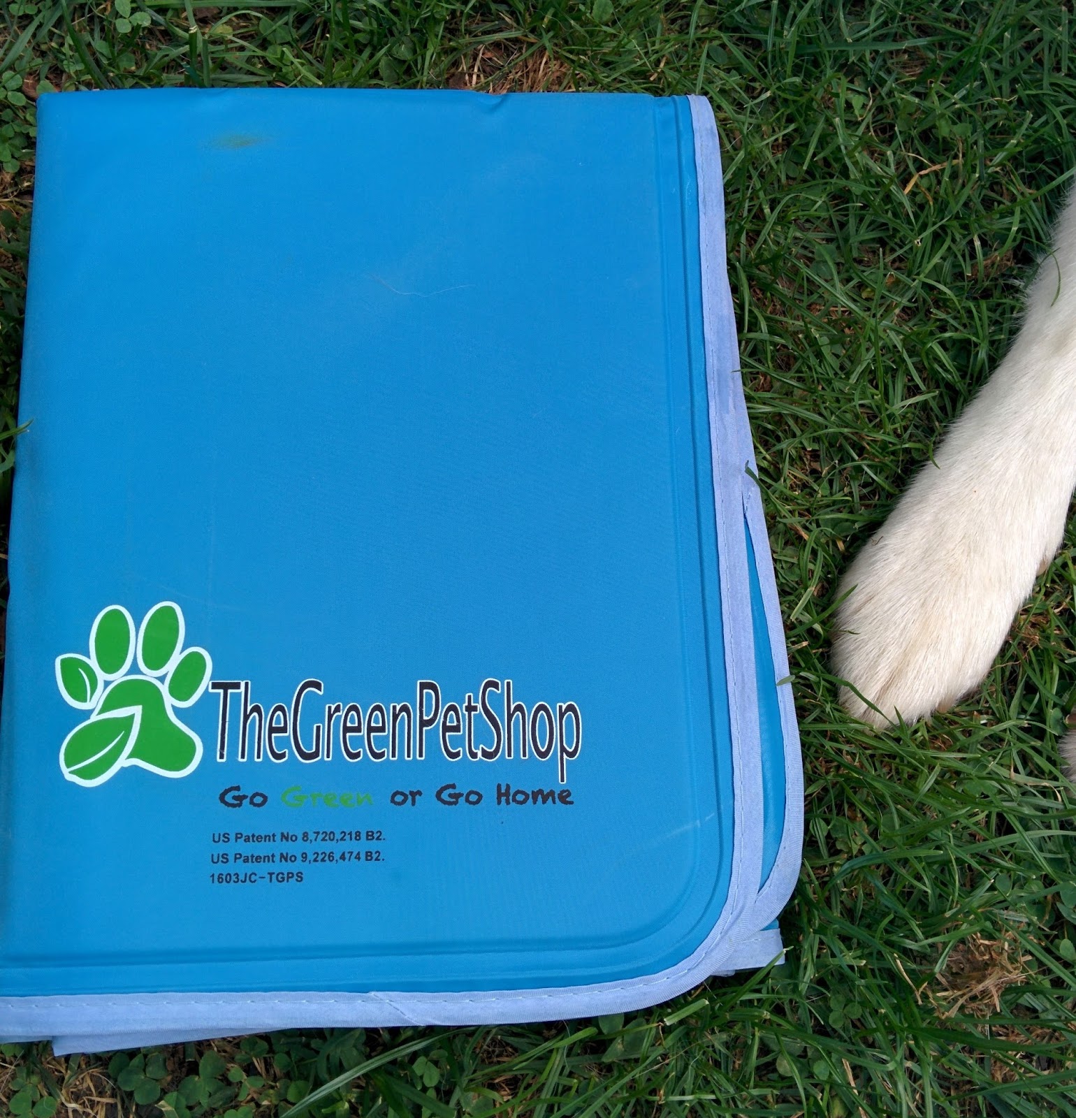 Dogs Luv Us and We Luv Them Cool Your Dog Off With The Cool Pet Pad
