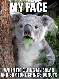 Funny Koala Finding Ways to Increase Salad Intake