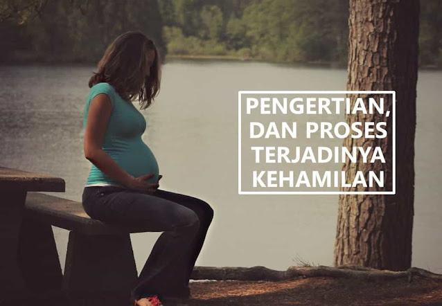 pengertian kehamilan dan proses terjadinya kehamilan