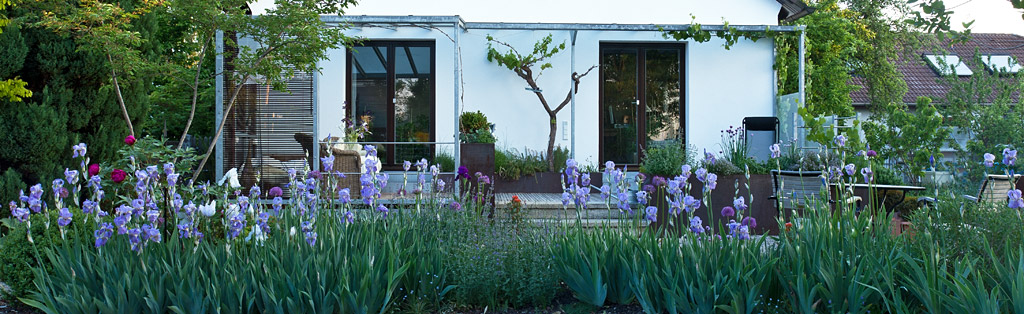 Gartenblog Geniesser Garten Pflegeleichter Garten