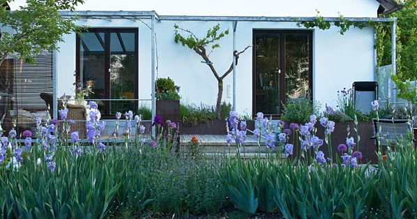 Gartenblog Geniesser Garten Pflegeleichter Garten