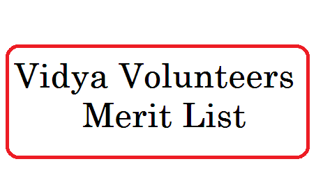 Vidya Volunteers Nerit List