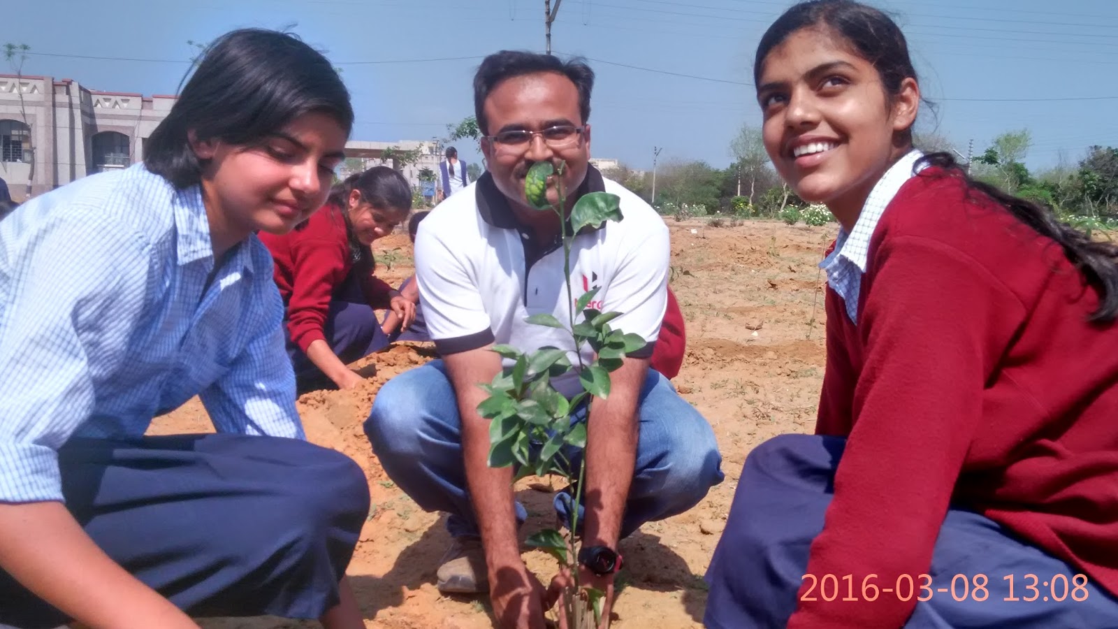 Corporate Tree Planting Sustainable Green Initiative Planting Fruit