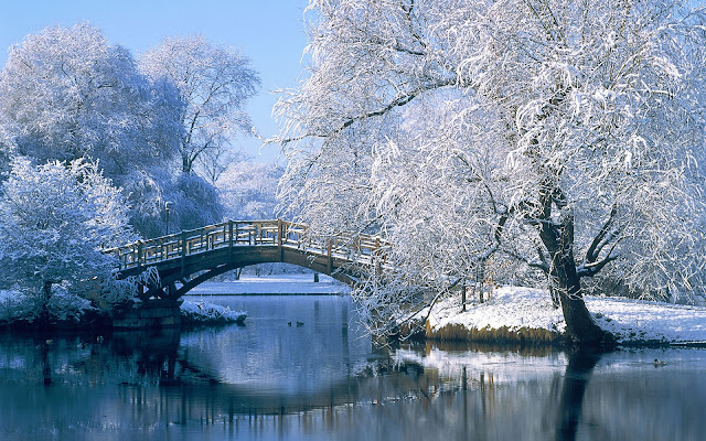 Winter landschap met water en brug