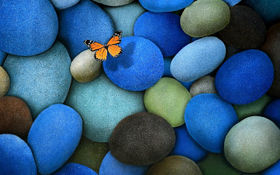 Rocas azules en la playa con una mariposa