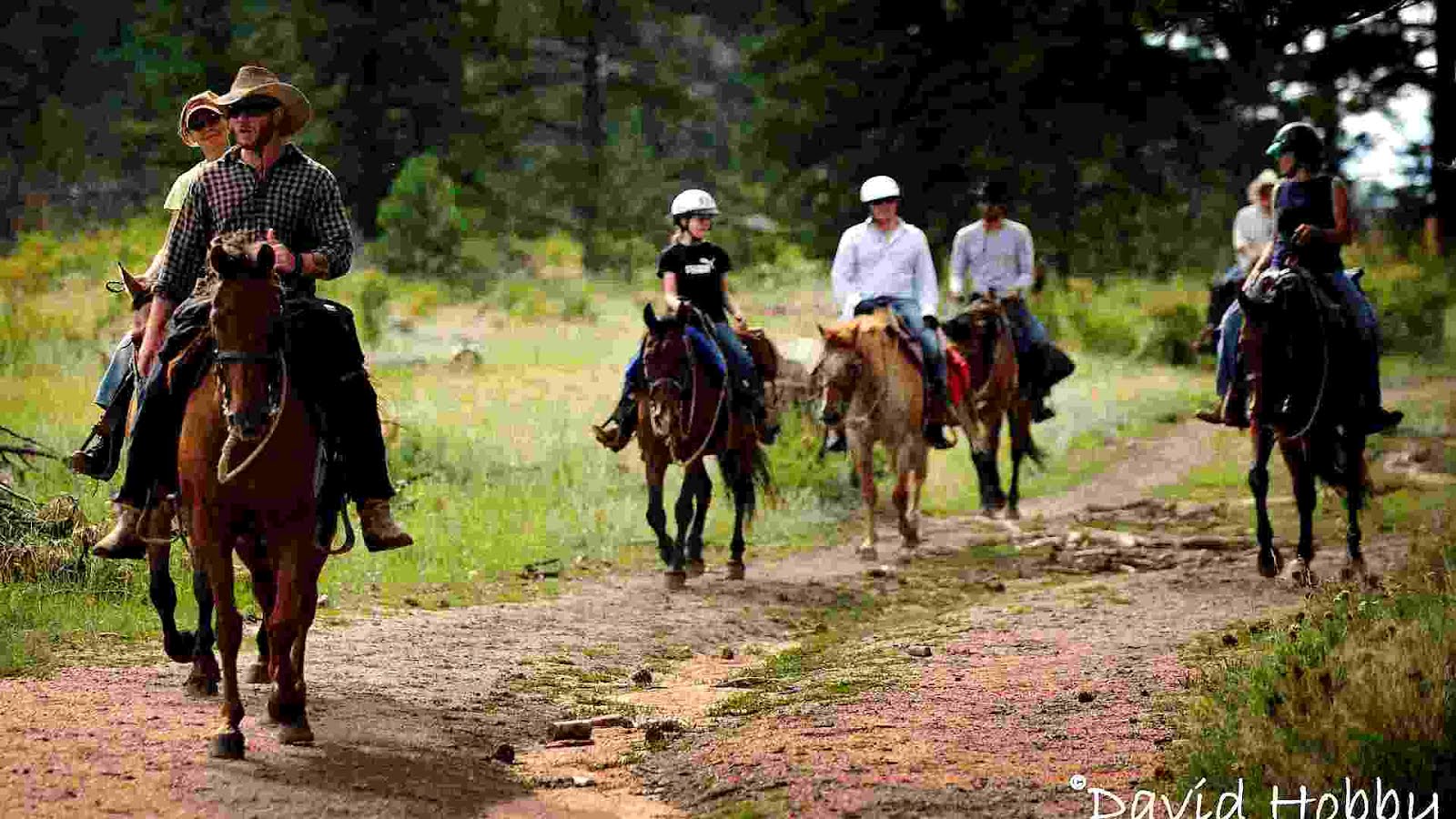 Horseback Riding In Denver Colorado Area Horse Choices