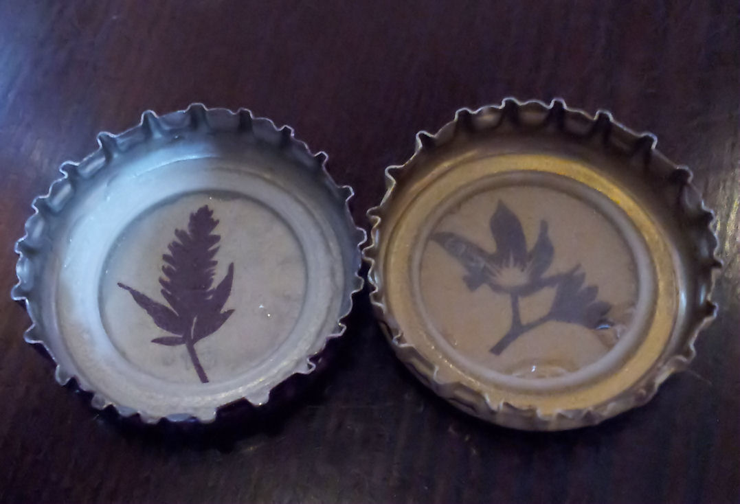 Thus Unquenched Q Kola and Ginger