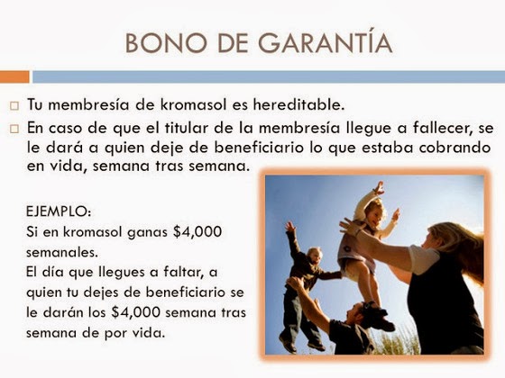 Bono De Garantia