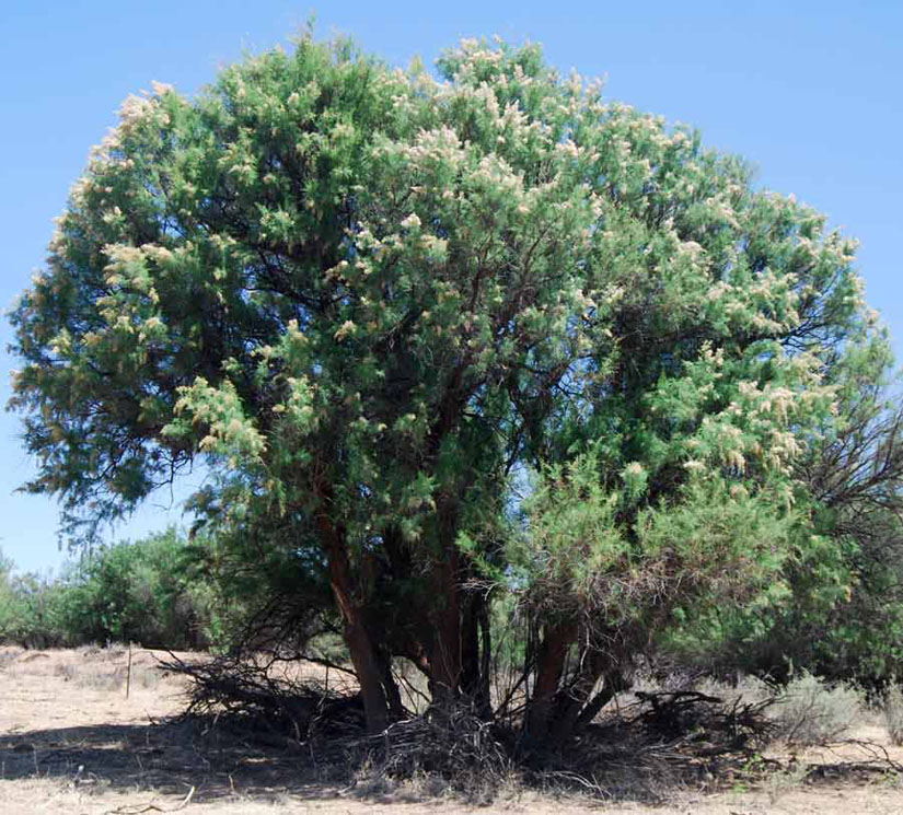 A Revelation Revolution The Benefit of Having God on Your Side