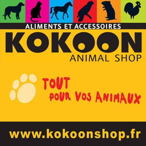 KOKOON Animal shop
