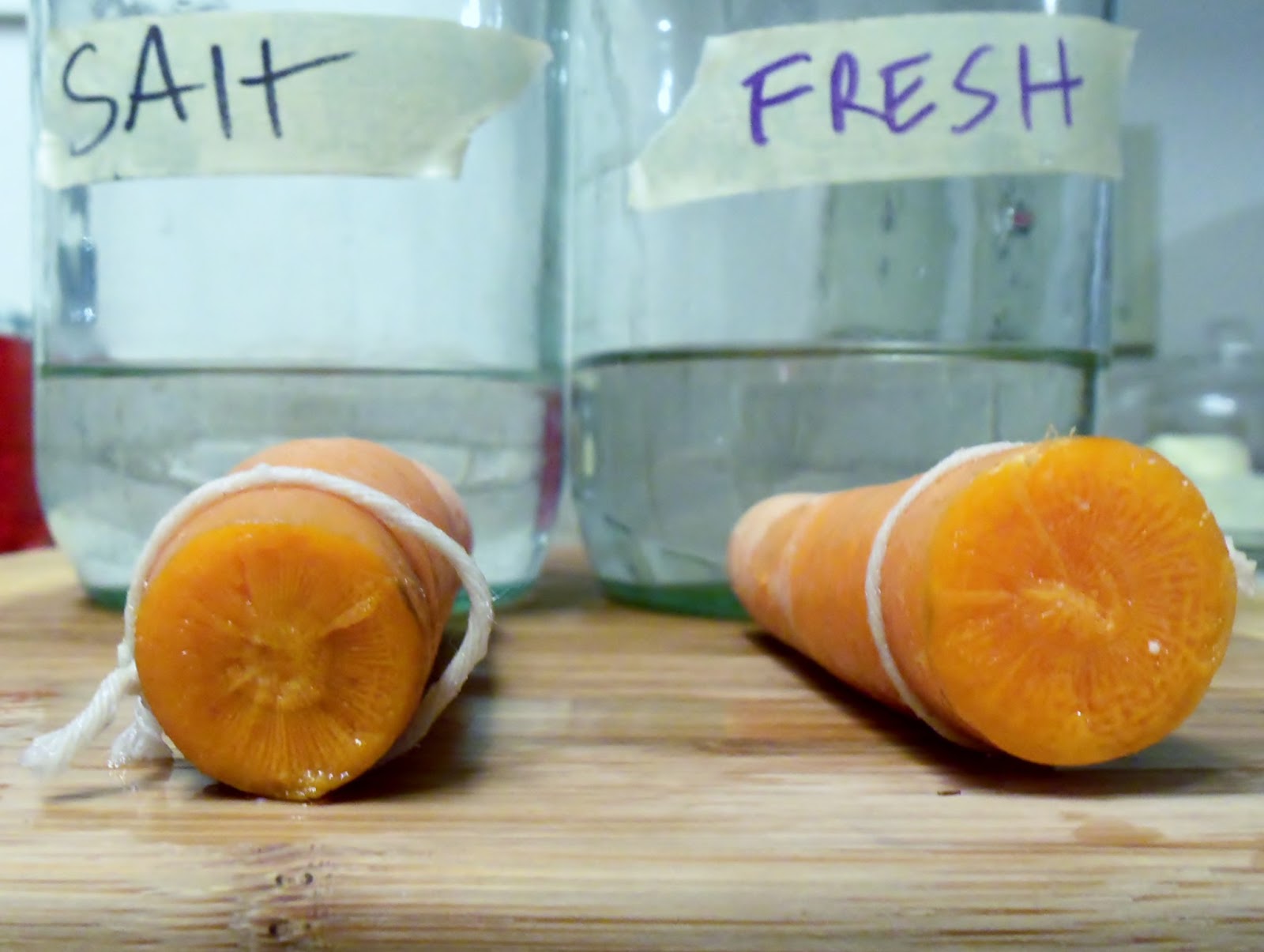 PARASITISM Milk, Juice, Carrot Lab