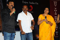 Three Audio Launch Gallery [Andhrula Music]