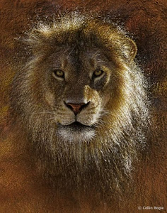 Pintura de Leão