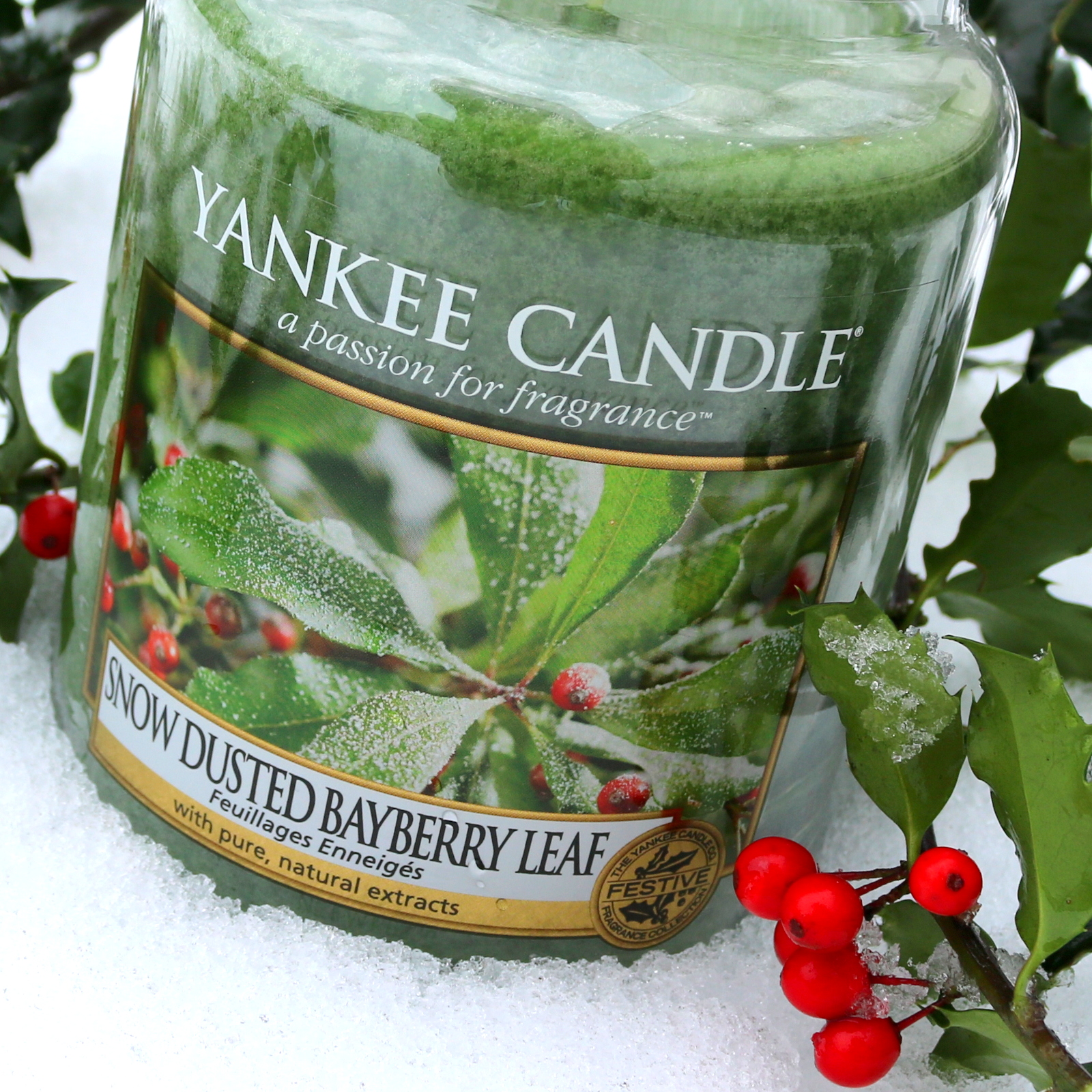 Snow Dusted Bayberry Leaf Yankee Candle