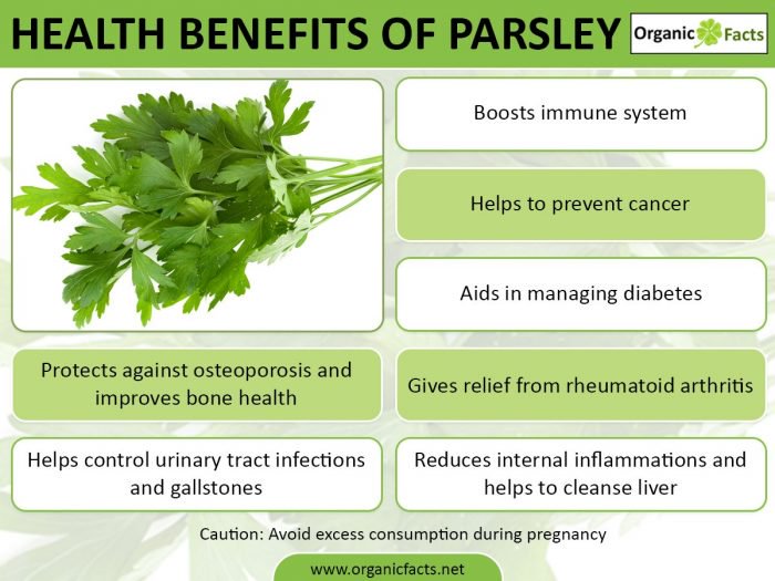 rainbowdiary Health Benefits Of Parsley