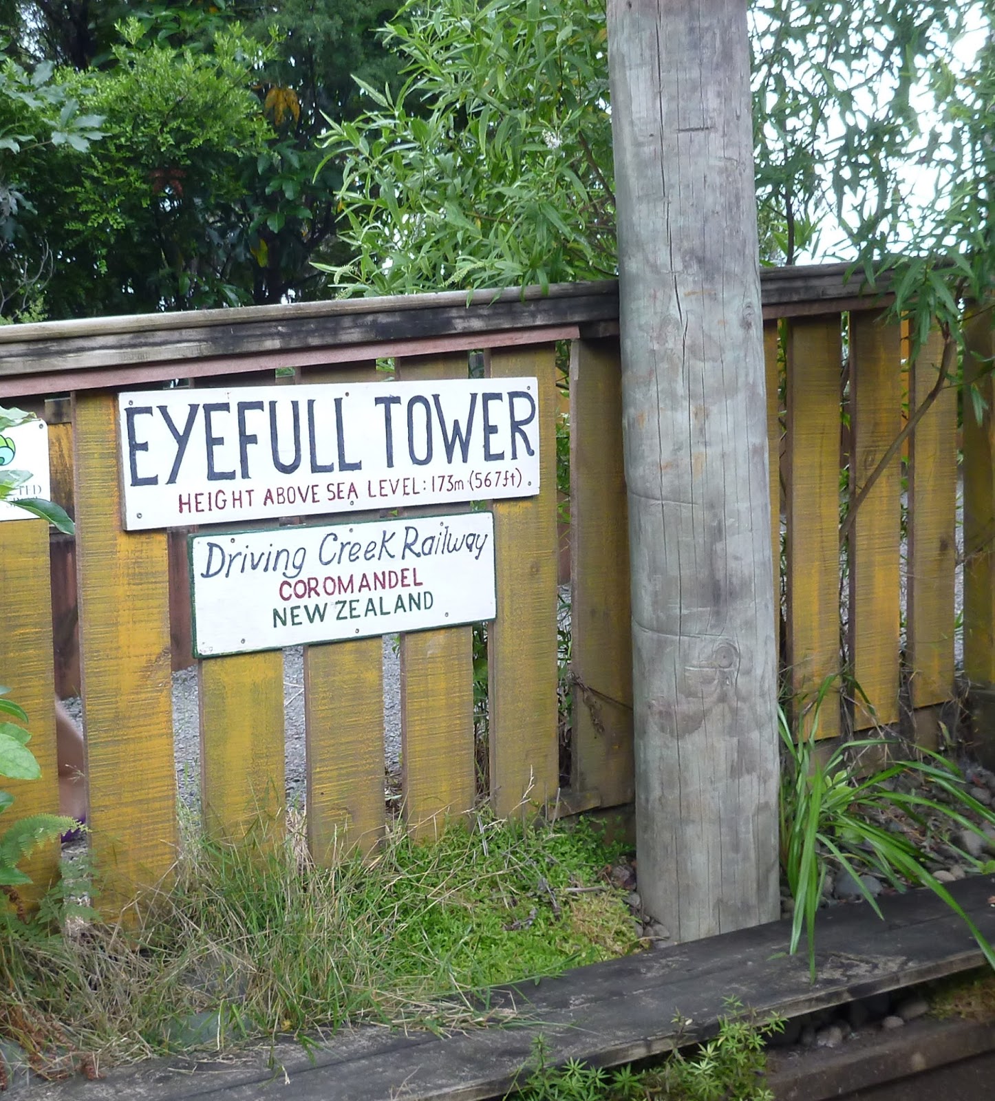 Mags and Mike's Travel Blog Further adventures in the Coromandel and