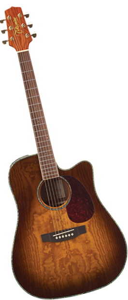 Đàn Guitar Takamine EG363SC