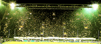 6.gif
