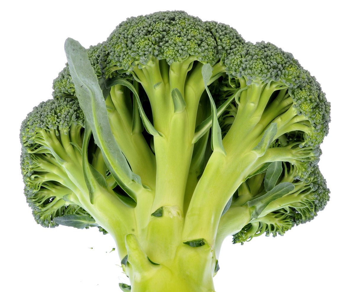 Hozzátáplálok!: Brokkoli - csirke 6+ Hozzátáplálok!: Brokkoli - csirke 6+