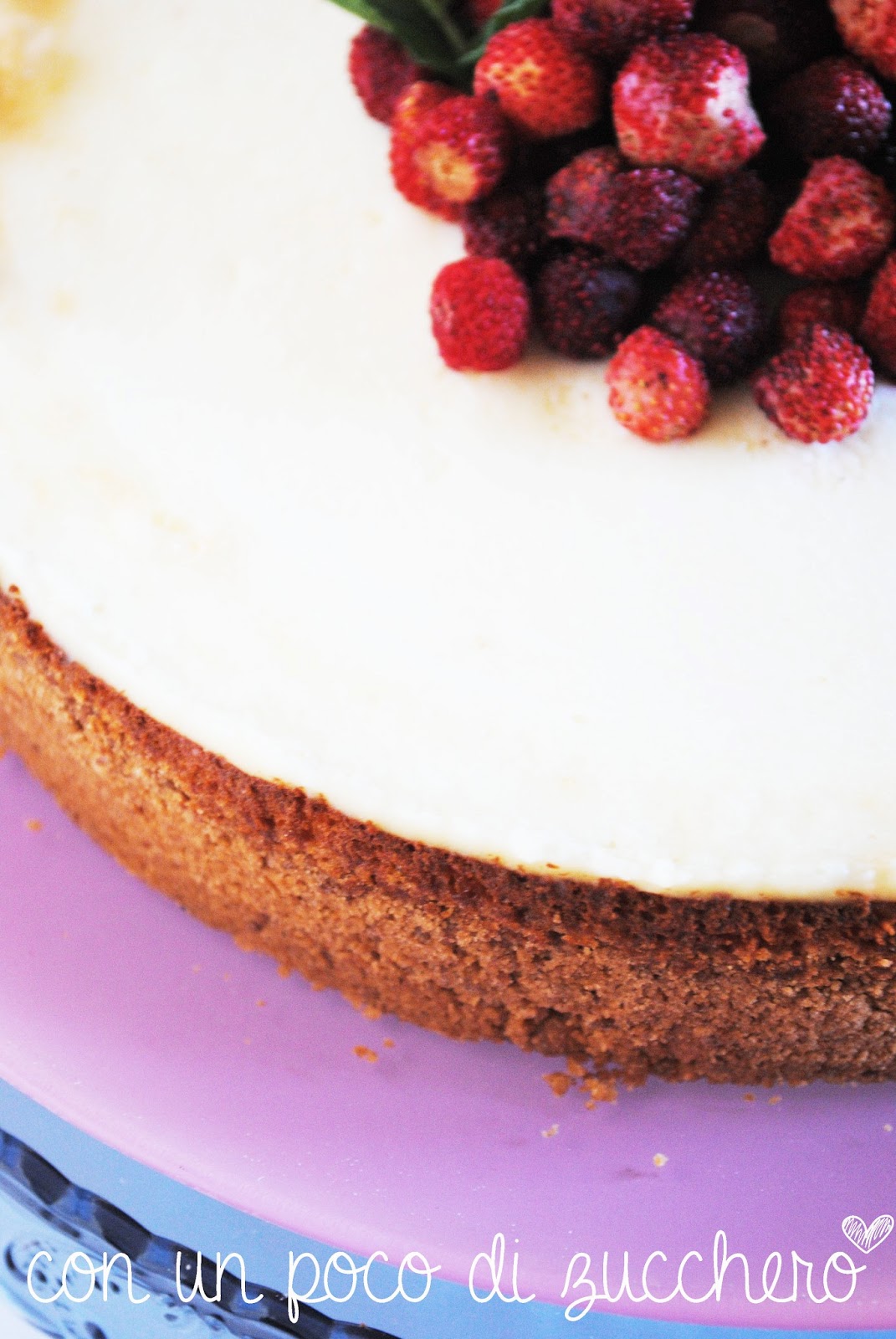 ♥ New York Cheesecake (Best Cheesecake Ever!)