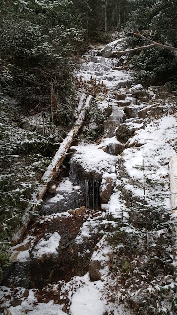 Sentier dans les monts Bigelow