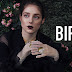 Projeto: The Perks Of Being a Birdie