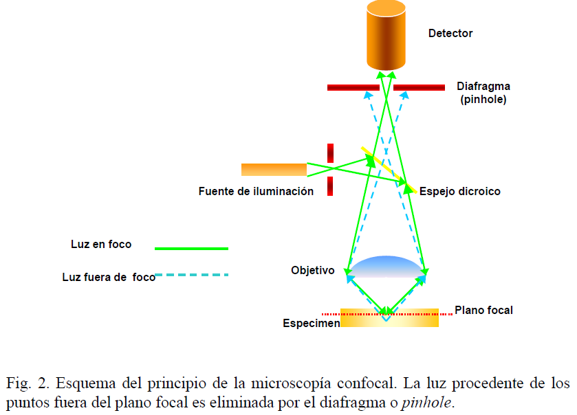 39 Laser Diodes Applications MICROSCOPÍA LÁSER