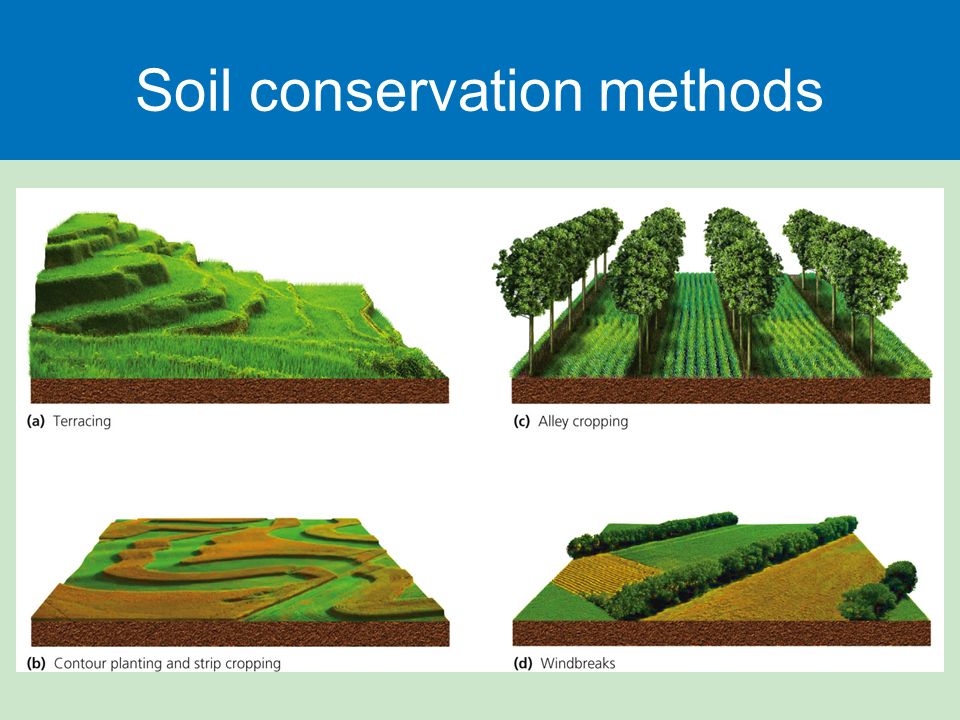 Soil Erosion And Conservation