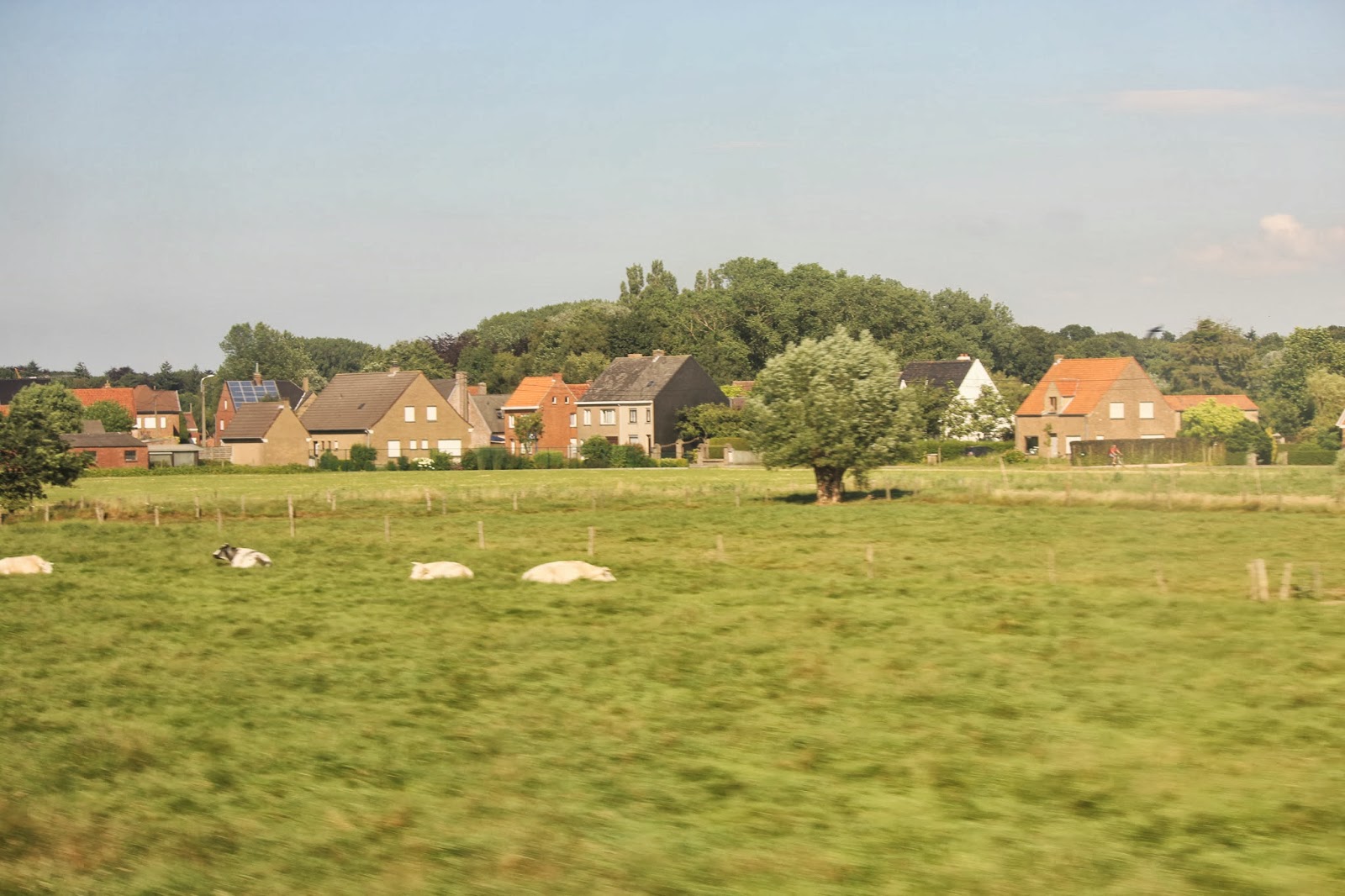 Historia y Genealogía En tren por la LLanura de Flandes. De Lille a Brujas