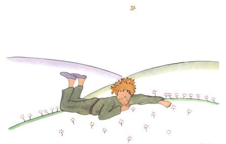 Judge Orders Fighting Parents To Read The Little Prince