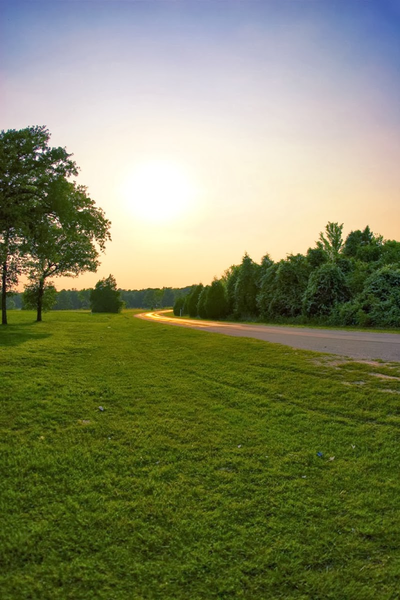 ФИЛИП РАФФЕРТИ