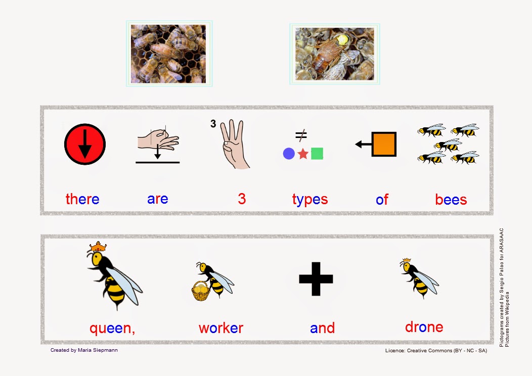 Babel Free Language/Speech Therapy Resources. (PECS/ Montessori