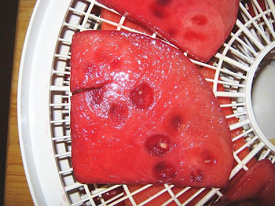 watermelon slices prepared for drying