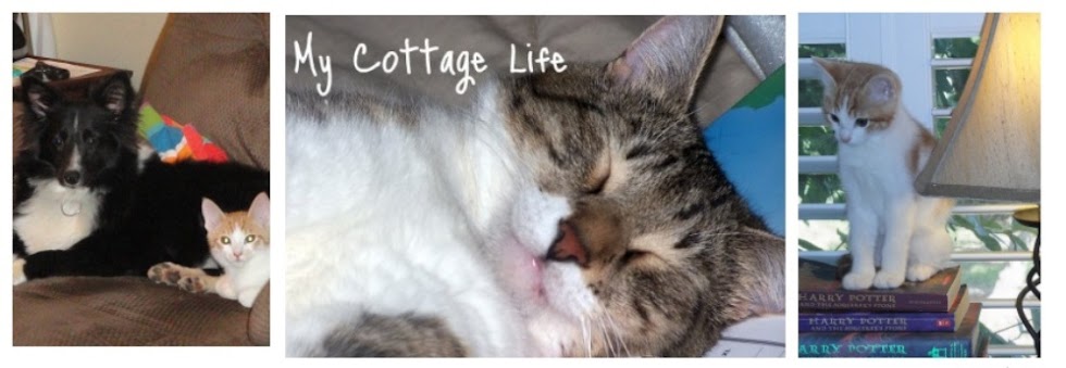 My Cottage Life