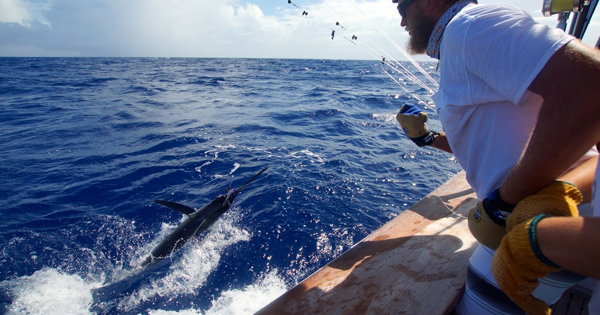 Fishing Tackle What Is Sport Fishing?