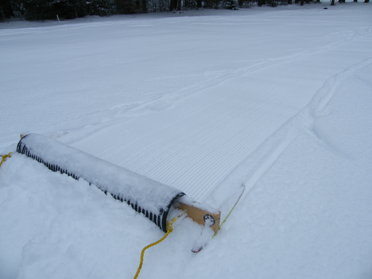 St. Lawrence University Nordic Ski Team November skiing at Star Lake